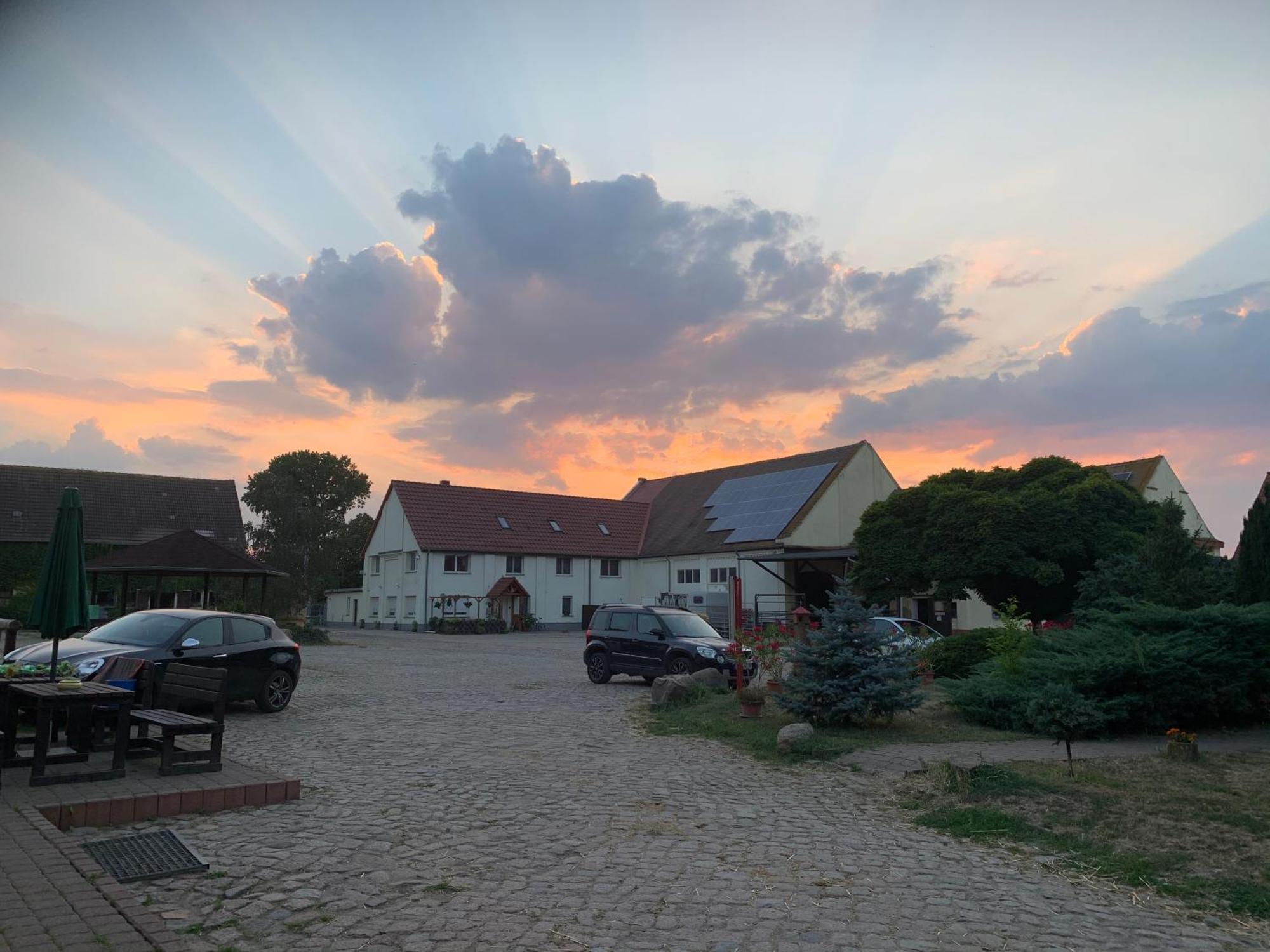 Ruhiges Wohlfuehlzimmer Auf Dem Pferdehof Gut Greppin - Mit Kochnische, Wlan & Kostenlosem Parken Экстерьер фото