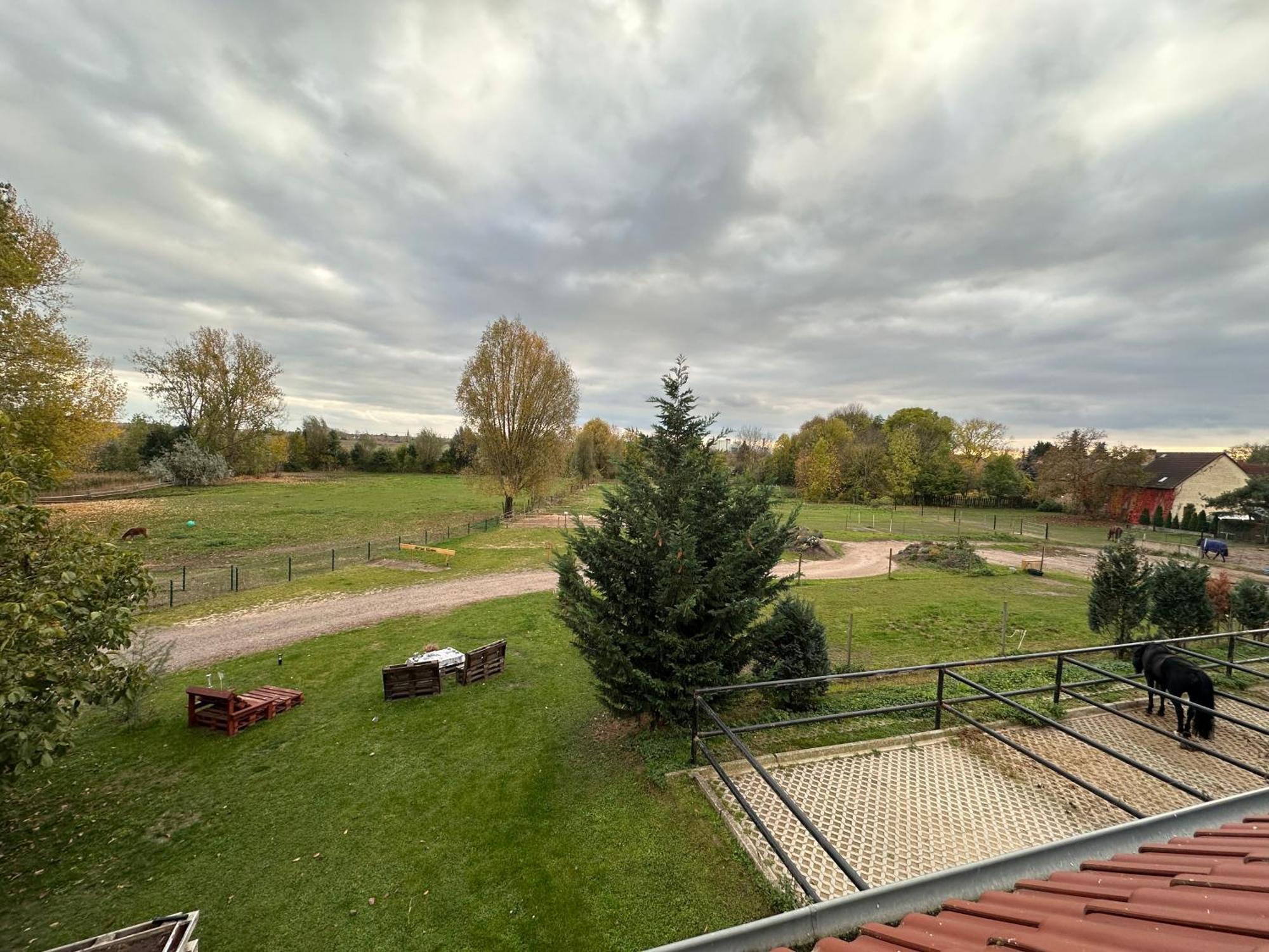 Ruhiges Wohlfuehlzimmer Auf Dem Pferdehof Gut Greppin - Mit Kochnische, Wlan & Kostenlosem Parken Экстерьер фото